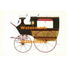 Coach  - XD5129  -  PRINT