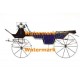 Coach  - XD5133  -  PRINT