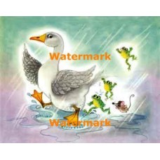 Splish Splashing  - #XD5195  -  PRINT