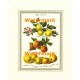 Apple & Apple Blossoms  - XAR5153  -  PRINT