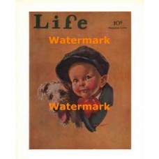 Life - November 13, 1931  - XKFL5004  -  PRINT