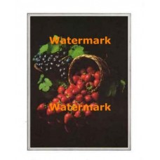 Strawberries Galore  - #XKFL5293  -  PRINT