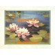 Lily Pond  - #XKFL5362  -  PRINT