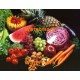 Fruits & Vegetables  - XAR5343  -  PRINT