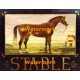Stable  - #XAR5809  -  PRINT