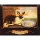 Cottontail  - XAR5885  -  PRINT