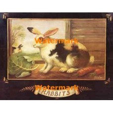 Rabbits  - #XAR5887  -  PRINT