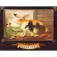 Rabbits  - #XAR5887  -  PRINT