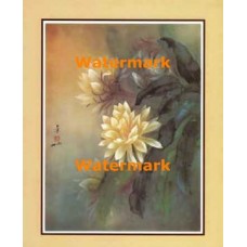 Evening Orchid  - #XKFL5434  -  PRINT