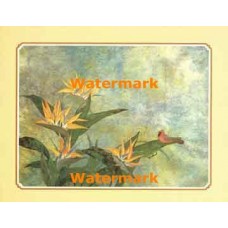 Bird Of Paradise  - XKFL5661  -  PRINT