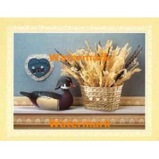 A Decoy Duck Welcome  - XKFL5828  -  PRINT