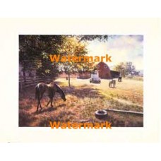 Horses Grazing  - XAR5070  -  PRINT