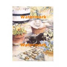 Felines & Blossoms  - XAR5411  -  PRINT