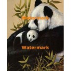 A Mother's Love  - XD50061  -  PRINT