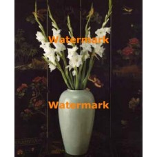 White Flowers  - #XD50200  -  PRINT