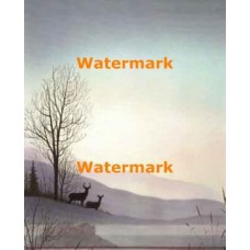 Peaceful Moments I  - #XD50352  -  PRINT