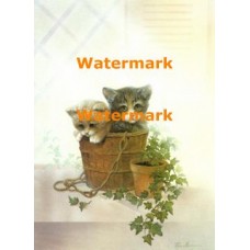 Ivy  - XD50368  -  PRINT