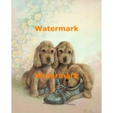 Favorite Toy  - XD50404  -  PRINT