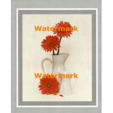 Mauves In White Pitcher  - #XD50876  -  PRINT
