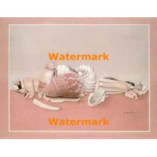 Seashell Assortment  - XD51227  -  PRINT