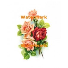 Mixed Roses  - #XD51337  -  PRINT