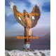 Soaring Wings  - #XD51641  -  PRINT