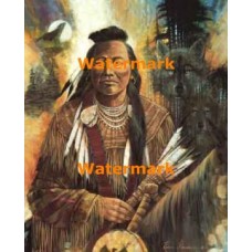 Deceptively Alert  - XD51800  -  PRINT