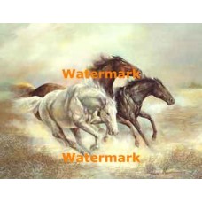 Running Wild  - #XD51817  -  PRINT