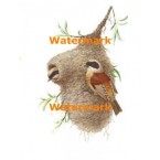 Chickadee Birdnest  - #XD6949  -  PRINT