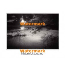 Nature Untouched  - #XKBWL6641  -  PRINT