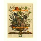 February  - #XKFL6002  -  PRINT