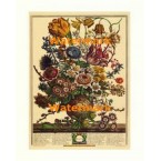 March  - #XKFL6003  -  PRINT