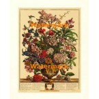 July  - #XKFL6007  -  PRINT