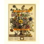 November  - #XKFL6011  -  PRINT