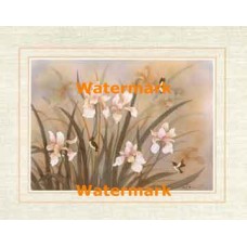 Iris's  - XKFL6320  -  PRINT