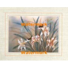 Fancy Daffodils  - XKFL6321  -  PRINT