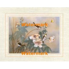 Amaryllis  - XKFL6322  -  PRINT