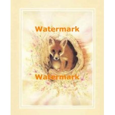 Foxy  - #XKFL6351  -  PRINT