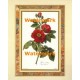 Rose  - #XKFL6423  -  PRINT