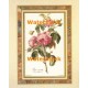 Rose  - #XKFL6424  -  PRINT