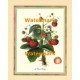 Les Fraises Rouges  - XKFL6434  -  PRINT