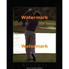 Success  - #XAR6088  -  PRINT