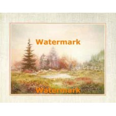 Country Pond  - XKFL6344  -  PRINT