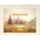 Country Pond  - XKFL6344  -  PRINT