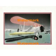 Stearan Bi-Wing  - #XKFL6648  -  PRINT