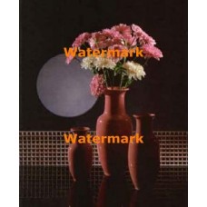 Mums And Moonlight  - #XKL6207  -  PRINT
