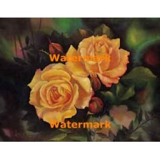 1.  Peach Roses  - #XKL6108  -  PRINT