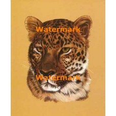 Noble Leopard  - #XKL6121  -  PRINT