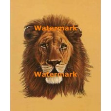 Majestic Lion  - #XKL6122  -  PRINT