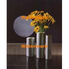 Daisies And Moonlight  - XKL6208  -  PRINT